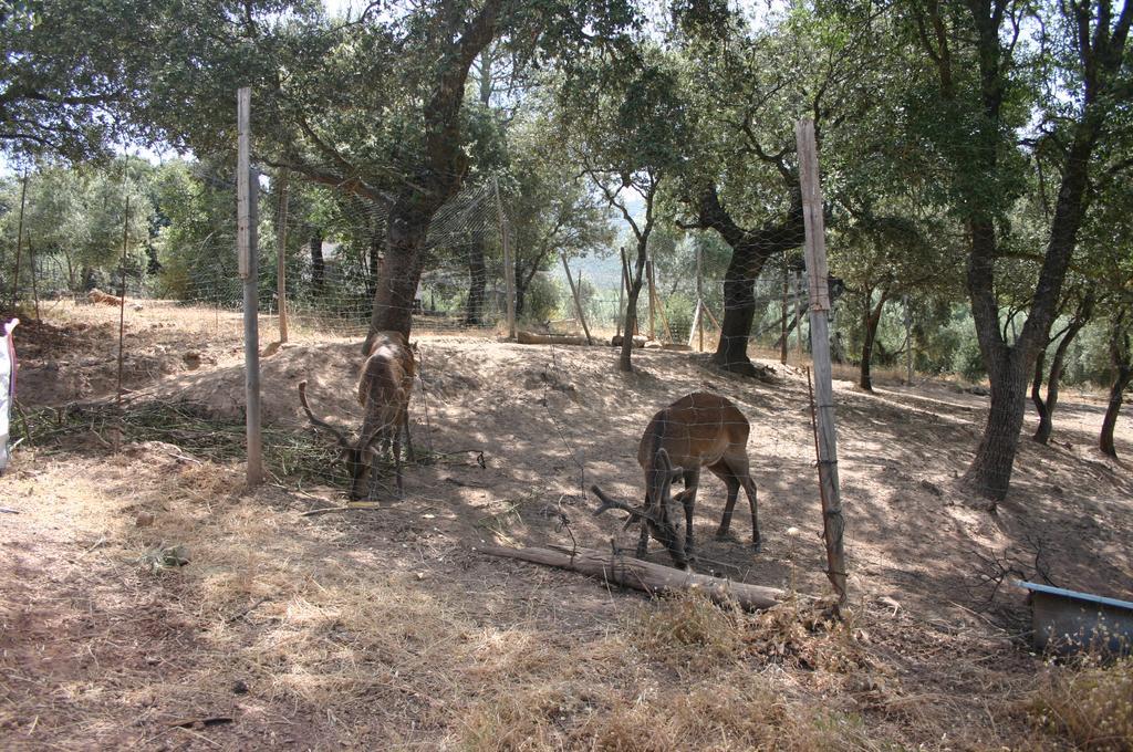 Casas Rurales La Loma Del Carrascal Hornos Kültér fotó