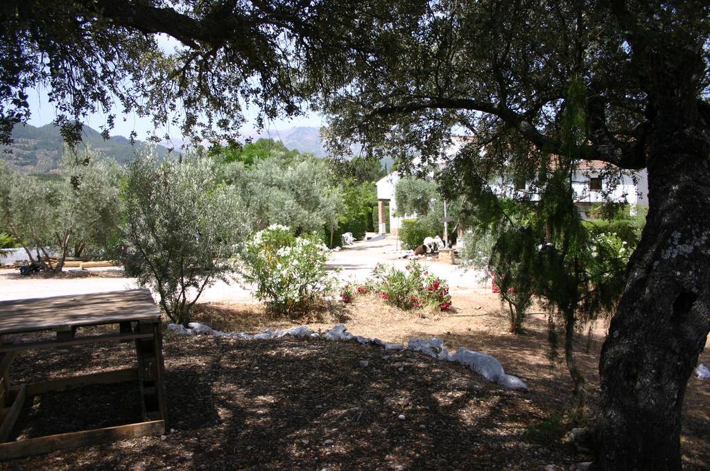 Casas Rurales La Loma Del Carrascal Hornos Kültér fotó