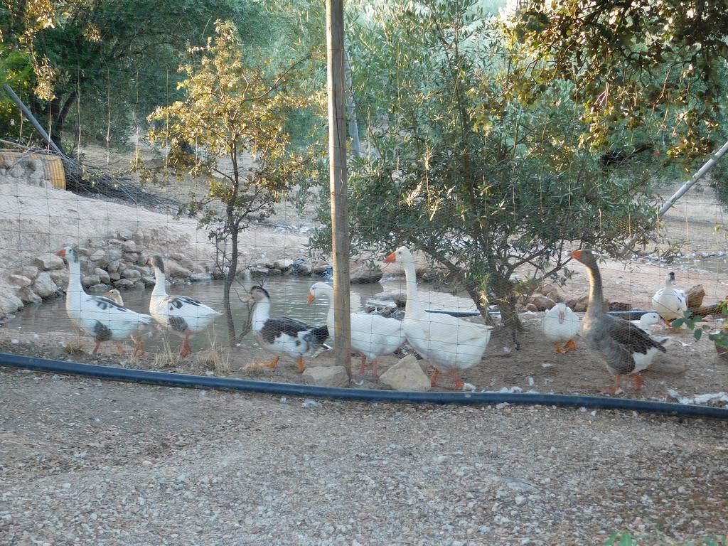 Casas Rurales La Loma Del Carrascal Hornos Kültér fotó