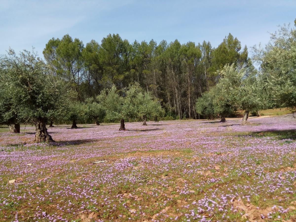 Casas Rurales La Loma Del Carrascal Hornos Kültér fotó
